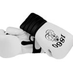 TSV 1860 Boxen: Magomed Schachidov holt Gold beim World Cup 1860 Boxhandschuhe 1200x628