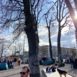 Umstrittene Verschärfung der Stadionordnung wird nicht beschlossen!