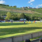 Toto-Pokal: Weicht der SV Birkenfeld gegen 1860 nach Würzburg aus? Sepp-Endreß-Sportanlage (Würzburger FV)