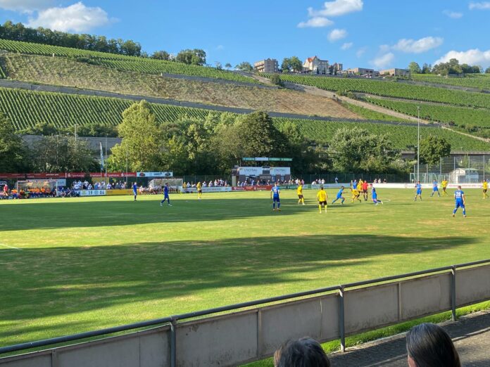 Sepp-Endreß-Sportanlage (Würzburger FV)