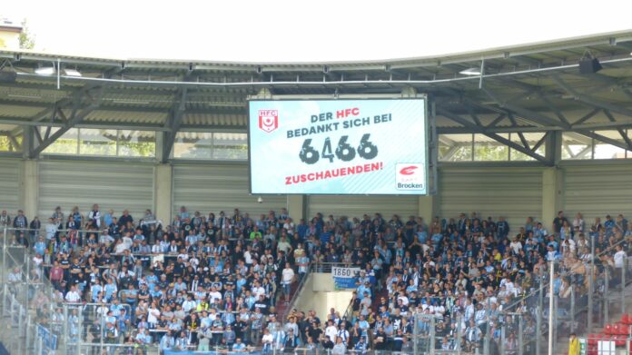 Löwenfans beim Spiel in Halle