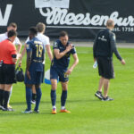 Rafati: TSV 1860 hätte gegen Verl Elfmeter bekommen müssen