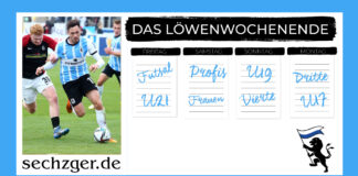 TSV 1860: Die Löwen am Wochenende