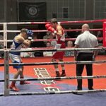 Boxer verlieren Heimpremiere gegen Schwerin