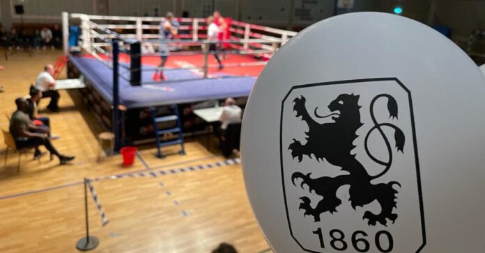 Boxen Boxlöwen Heimsieg 1860 Schachidov Meister Hamidi