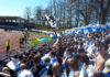 Löwen in Schweinfurt 2018