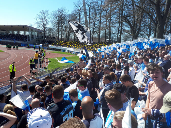 Löwen in Schweinfurt 2018