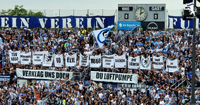 TSV 1860 VfB Oldenburg KGaA Geschäftsführung