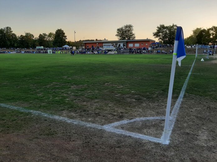 TuS Feuchtwangen TSV 1860 München Toto Pokal Dienstag 16.08.2022 (13) TuS Feuchtwangen TSV 1860 München Toto Pokal Dienstag 16.08.2022 (13)