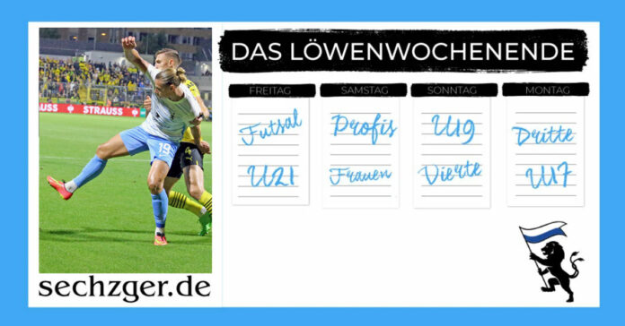 TSV 1860 Wochenende profis u21 u19 u17 futsal nlz löwen dritte vierte löwinnen