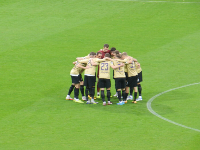 Das Team von Erzgebirge Aue