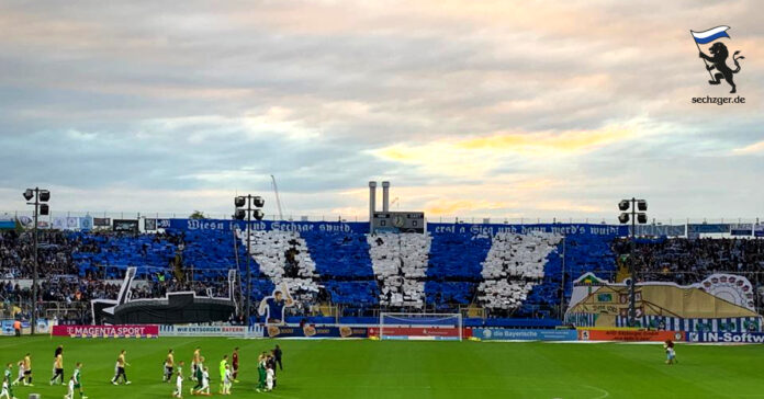 TSV 1860 Erzgebirge Aue