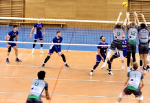 Tsv Haching München Innsbruck Volleyball