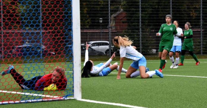 Tsv 1860 Frauen Löwinnen Fasanerie