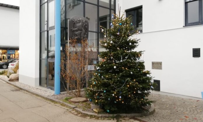 Weihnachten TSV 1860 München Grünwalder Straße Christbaum