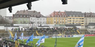 TSV 1860 Fahne