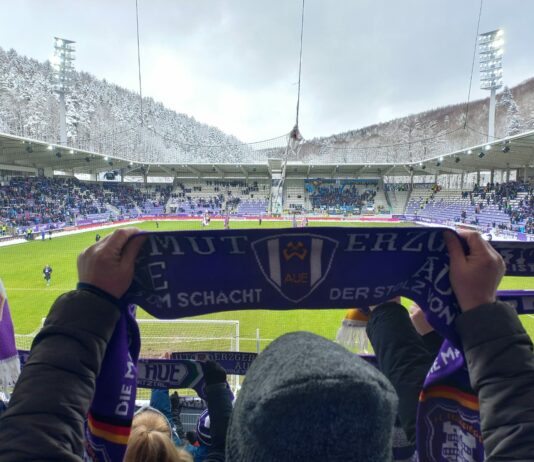 Erzgebirge Aue FC Saarbrücken Blick Auf Das Spielfeld Aus Der Heimkurve