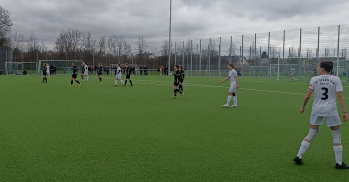 FC Stern III TSV 1860 Löwinnen