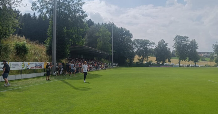 Sv Neufraunhofen Tsv 1860 U21 Waldstadion