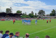 Löwen testen am Sonntag, den 19. Juli beim TSV Aindling