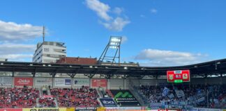 Negativ-Serie beendet: Löwen punkten in Halle