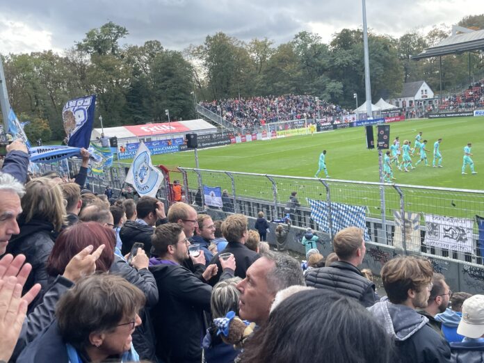 Löwen in Köln