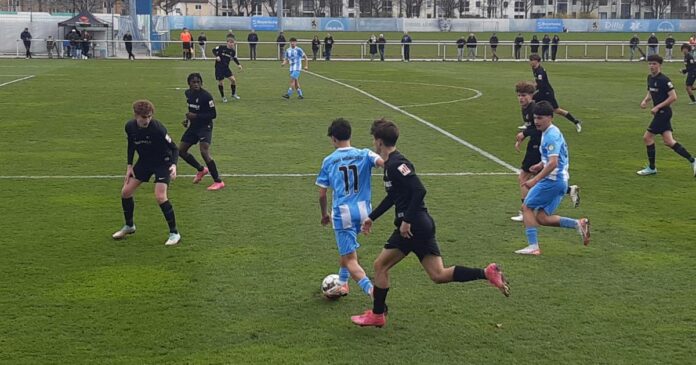 Tsv 1860 Sc Freiburg U17