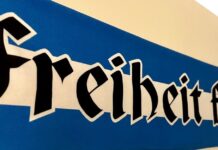 Stimmen zur Löwenlage – Die Sicht der Fans