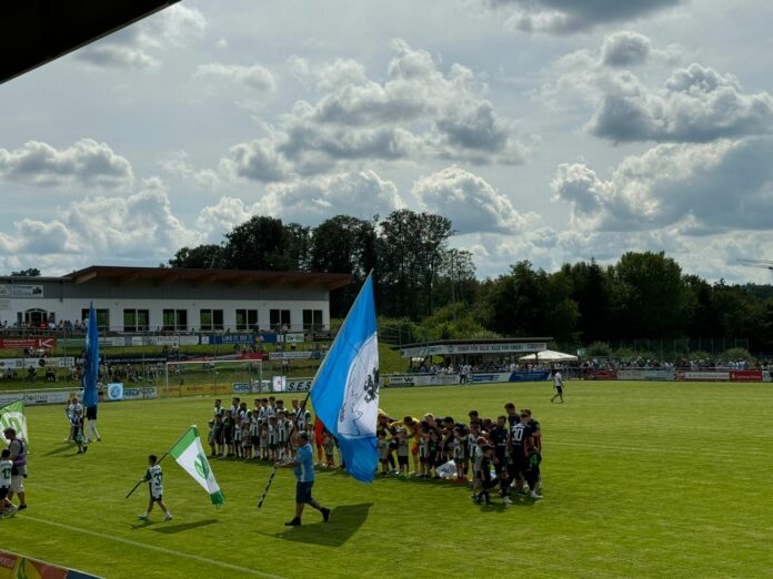Schalding Heining 1860 5