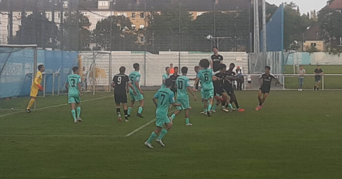 Tsv 1860 U19 Hallescher Fc Tsv 1860 U19 Hallescher Fc