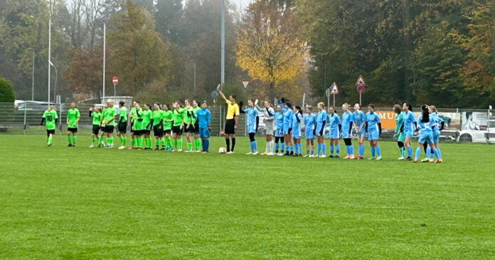 SG Tegernseer Tal TSV 1860 Löwinnen U15 (1) SG Tegernseer Tal TSV 1860 Löwinnen U15