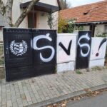 SV Sandhausen TSV 1860 Fotogalerie (3)