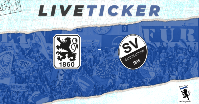 sechzger.de Liveticker TSV 1860 München SV Sandhausen 32-Spieltag 2024-25 Grünwalder Stadion