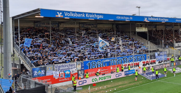 Sv Sandhausen Tsv 1860 Titelbild