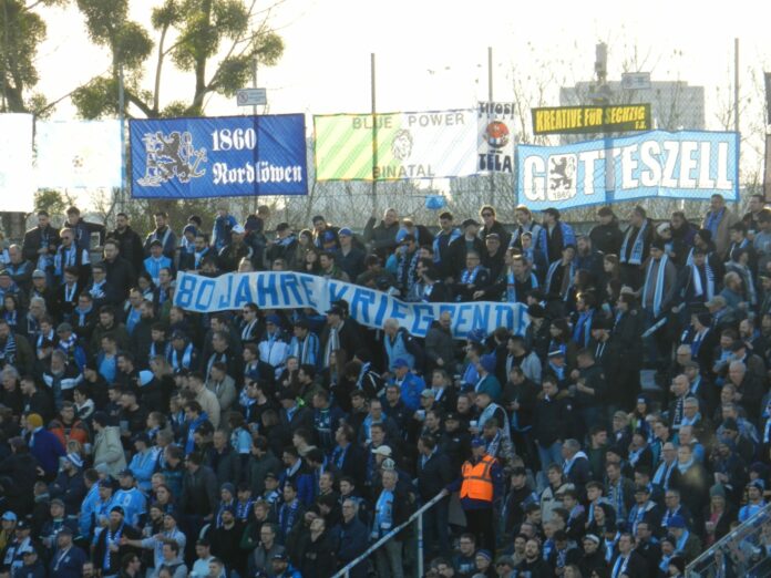 TSV 1860 VfB Stuttgart II Bildergalerie (37) 1860 westkurve erinnerungstag