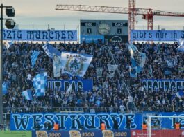 Titelbild TSV 1860 VfB Stuttgart