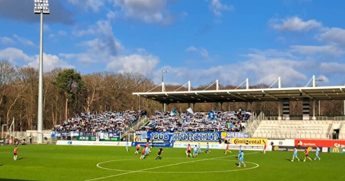 Titelbild Hannover 96 II U23 TSV 1860 Fotogalerie
