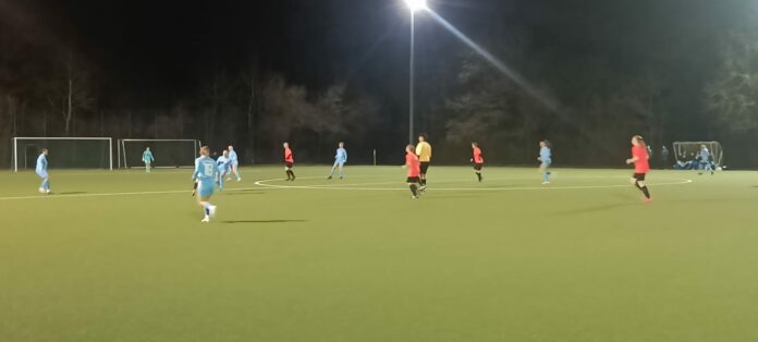 Löwinnen beim Auswärtsspiel gegen Blumenau