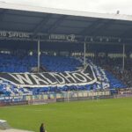 Gegnervorstellung 25/26: SV Waldhof Mannheim 07 e.V. Choreo im Mannheimer Fanblock