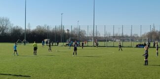 Löwinnen 24/25 in Aschheim