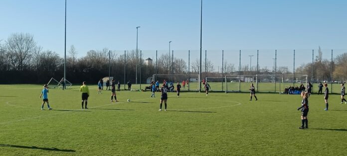 Löwinnen 24/25 in Aschheim