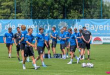 Was machen die Ex-Löwen?