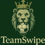Lorenz Knöferl Teamswipe App