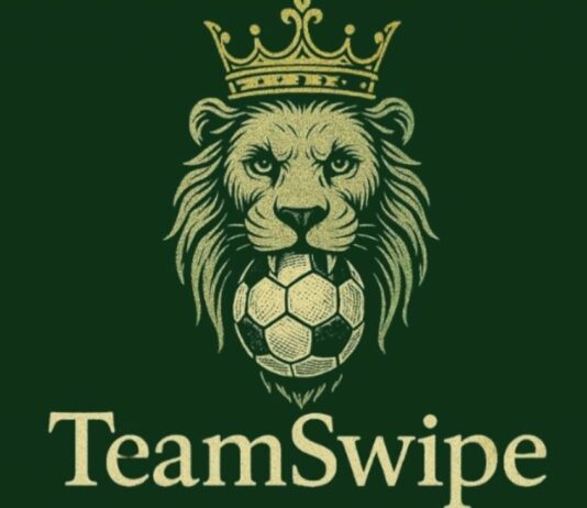 Lorenz Knöferl Teamswipe App
