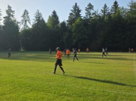 Tsv 1860 Nk Dinamo Senioren E
