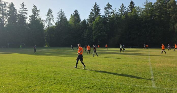 Tsv 1860 Nk Dinamo Senioren E
