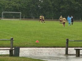 Tsv 1860 Senioren B Ii Vfb Sparta Torfestival
