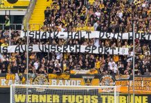 Stimmen zur Löwenlage – Die Sicht der Anderen