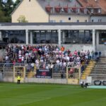 TSV 1860 VfB Stuttgart II Fotogalerie (12)