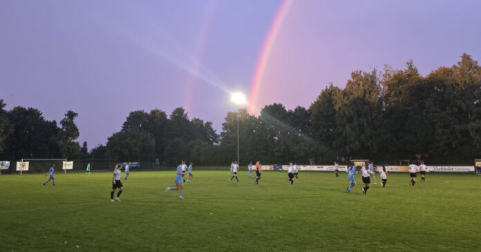 Tsv Egmating Tsv 1860 Löwinnen Kreispokal 1